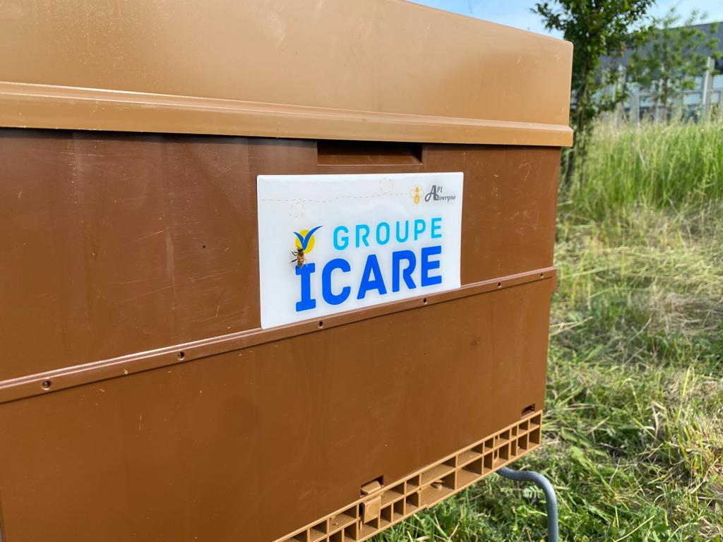ruches entreprise biodiversité api auvergne apiculture