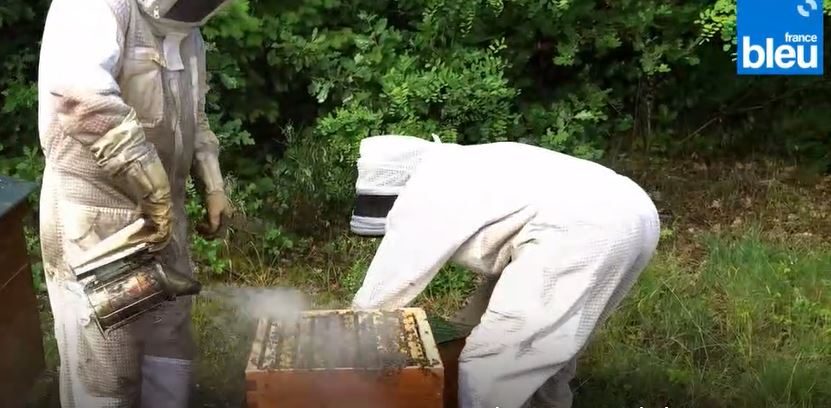 apiculture miel abeilles ruche ruchers clermont ferrand location entreprise