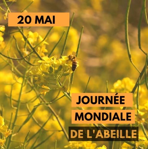location de ruche urbaine en auvergne pour entreprises, collectivités, particuliers