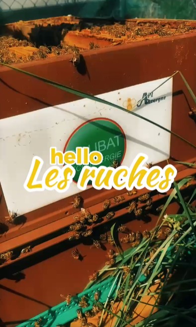 ruche urbaine clermont ferrand auvergne biodiversité RSE