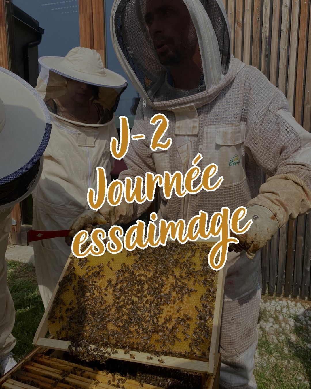 ruche urbaine clermont ferrand auvergne biodiversité RSE aftral