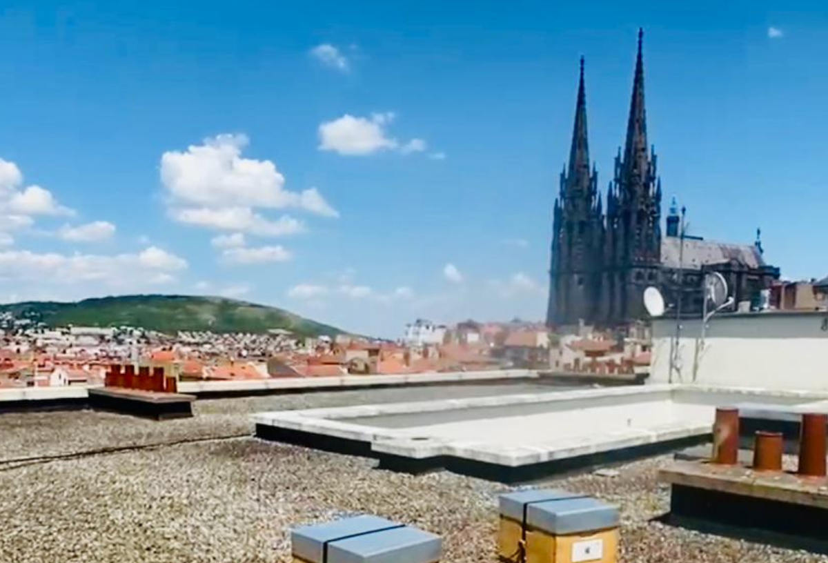 ruche urbaine clermont ferrand auvergne biodiversité RSE