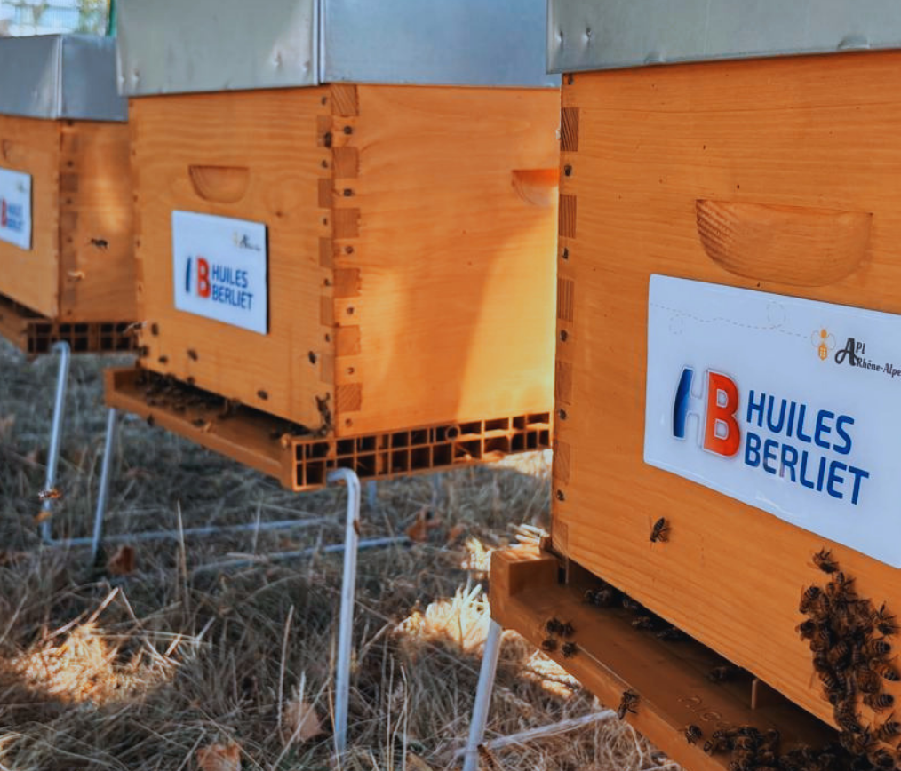 ruche urbaine clermont ferrand lyon auvergne AURA rhônes-alpes biodiversité RSE