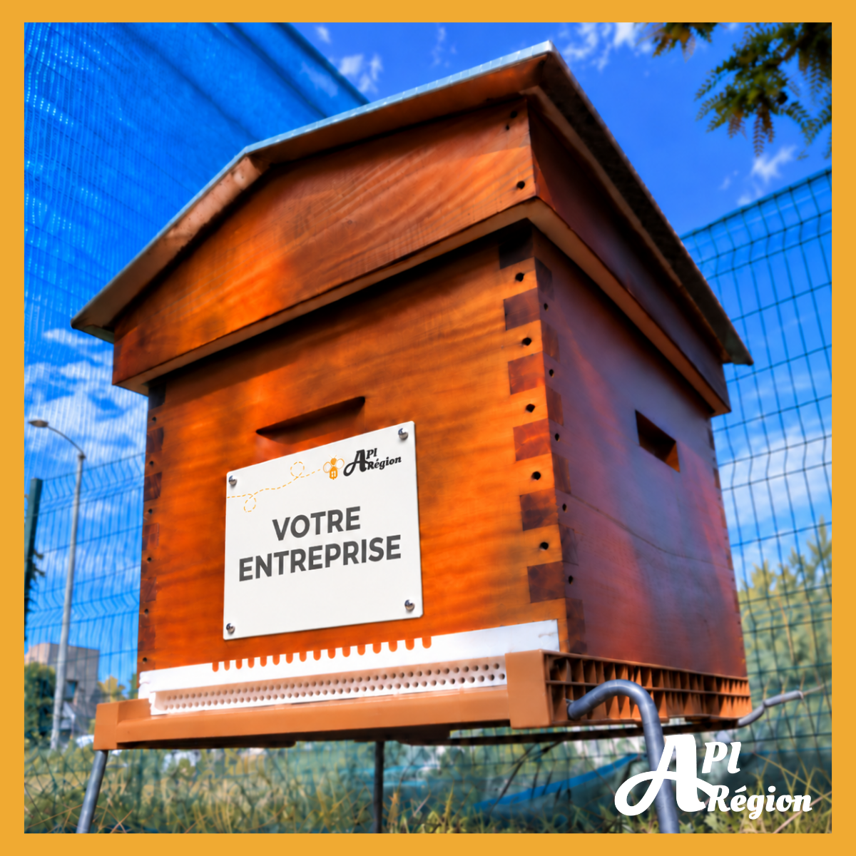 apirégion ruche urbaine clermont ferrand lyon auvergne AURA rhônes-alpes biodiversité RSE