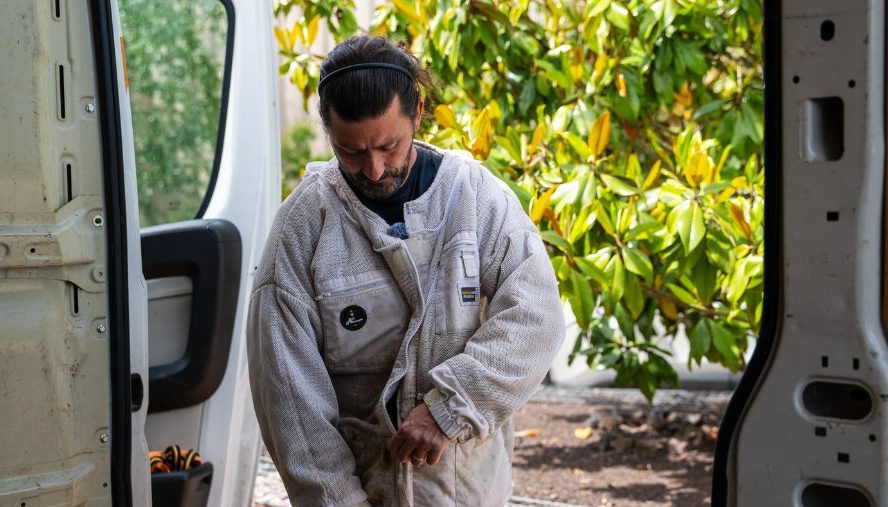 Apiculteur ApiRégion enfilant sa combinaison de protection avant une intervention sur des ruches en entreprise en Auvergne-Rhône-Alpes